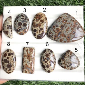 Cabochon en jaspe astéroïde, pierre semi-précieuse naturelle pour la fabrication de bijoux, pierre précieuse de guérison, pierre précieuse en vrac, cristal de puissance LOT -493