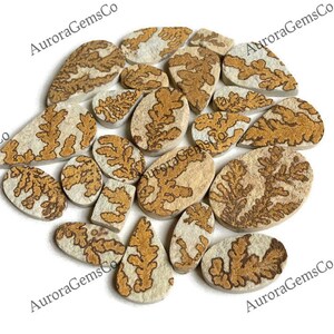 Cabochão fóssil de dendrito de qualidade AAA, formas e tamanhos mistos de lote por atacado, melhor fóssil de dendrito natural para fazer joias e artesanato DIY