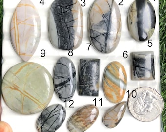 May include: Assorted polished gemstone cabochons in various shapes, including oval, rectangular, and teardrop. The stones display a range of colors, such as cream, gray, brown, and green, with unique veining patterns. A US quarter is included for size reference.