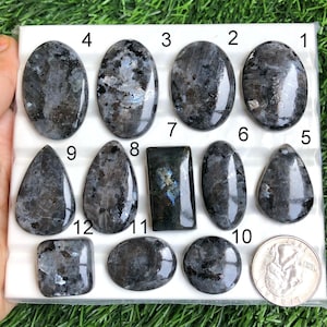 May include: A collection of twelve polished labradorite gemstones in various shapes, including oval, teardrop, and rectangular. The stones display a mix of gray, black, and blue hues, with a quarter coin for size comparison.