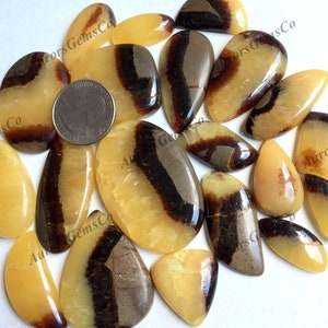 Lote de atacado de cabochão septário amarelo, formas e tamanhos mistos, melhor septário amarelo natural para joias e artesanato DIY
