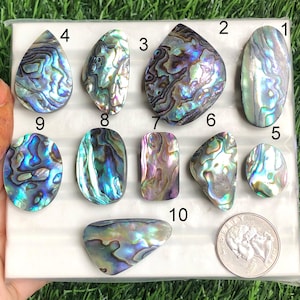 Abalone schelp cabochon voor hanger, abalone schelp edelsteen voor sieraden edelsteen maken, ideeën voor ambachtelijk maken, lot-243