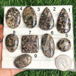 Cabochão de jaspe Turtella, pedra preciosa semipreciosa natural de jaspe para fabricação de joias, materiais de artesanato, lote 236 para pingente e anel