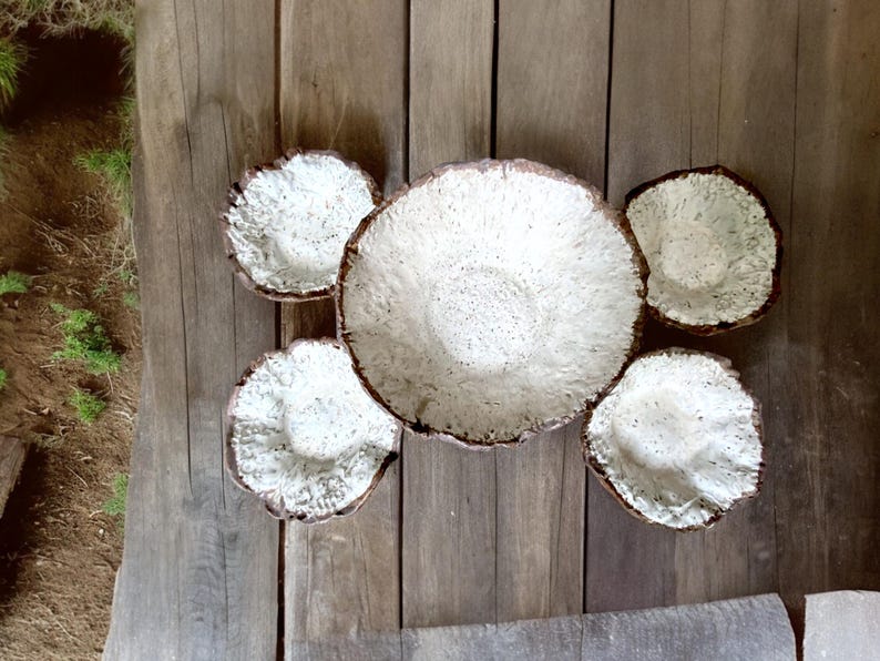 Pu&ograve; includere: Vista dall'alto di una collezione di ciotole in ceramica fatte a mano. Le ciotole sono bianche con una superficie strutturata e un bordo marrone. Sono disposte su una superficie di legno invecchiato, creando un'estetica rustica.