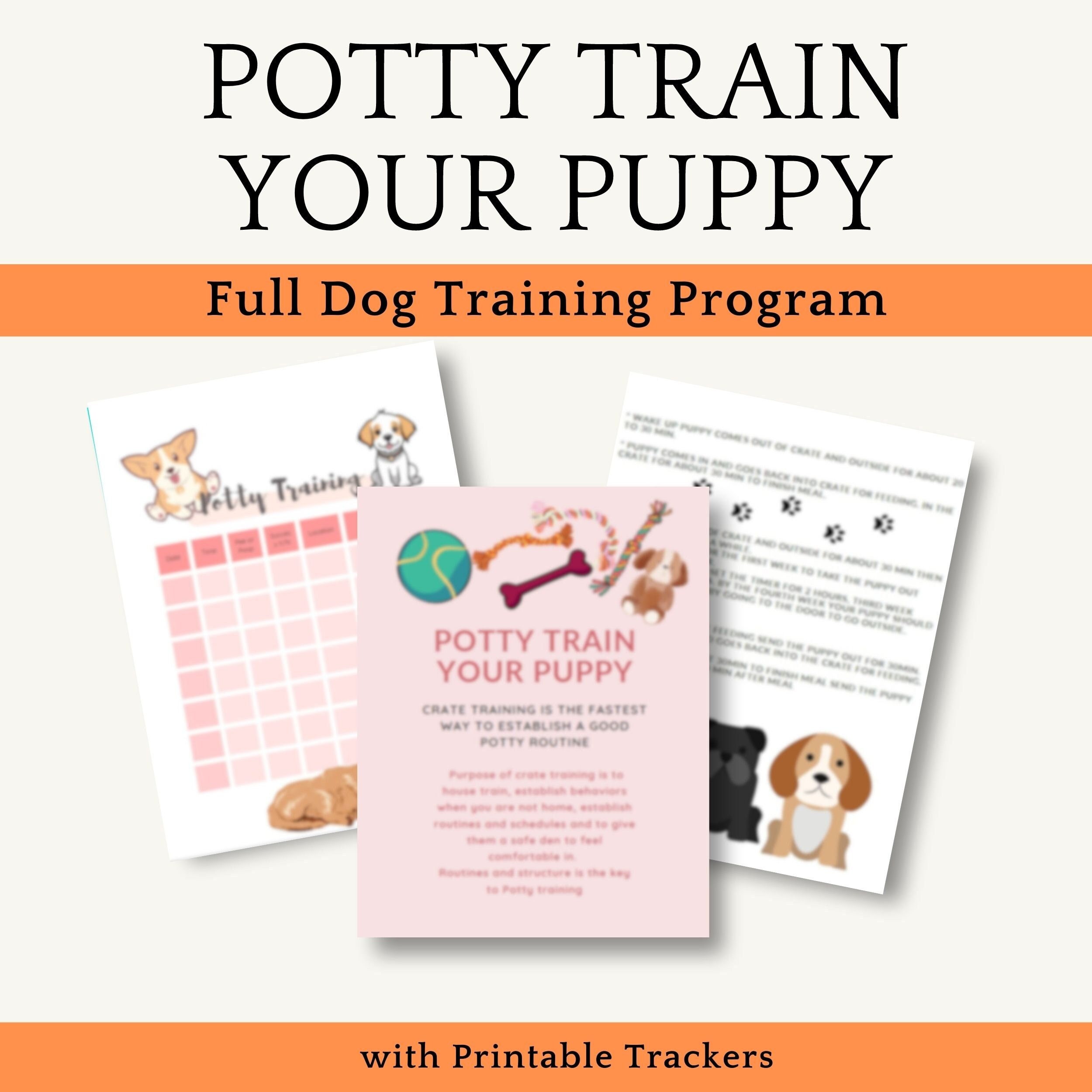 Schedule How To Potty Train A Puppy To Pee Outside Puppy Potty