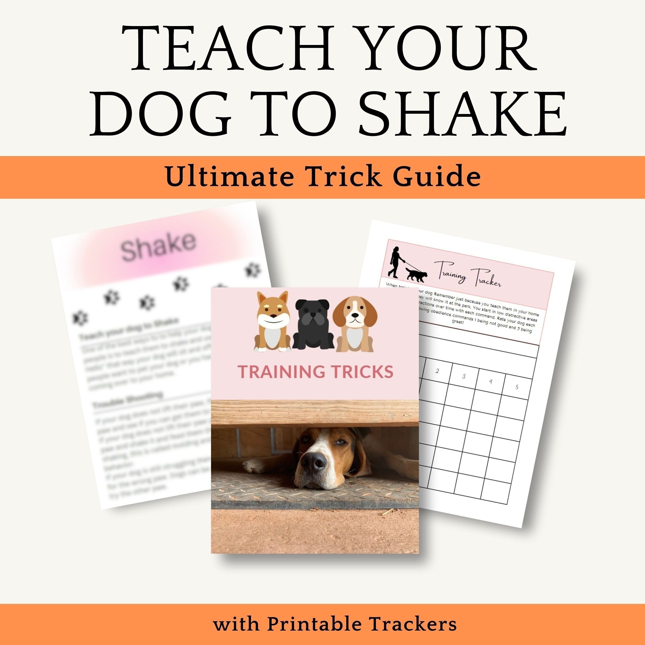 Dog Training Printable Tricks Guide Teach Your Puppy to Shake