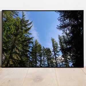 Digital Download - Pacific Northwest Forest - Nature Wall Art