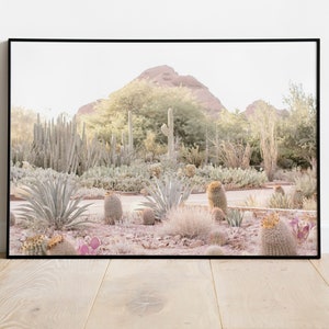 Digital Download - Desert Cactus Garden - Southwest Nature Photography