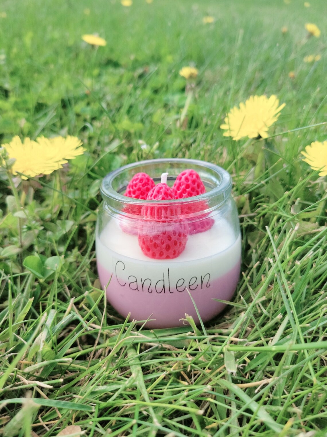Strawberry Candle in Jar. 100 Soy Wax. Scented Candle. Gift Etsy