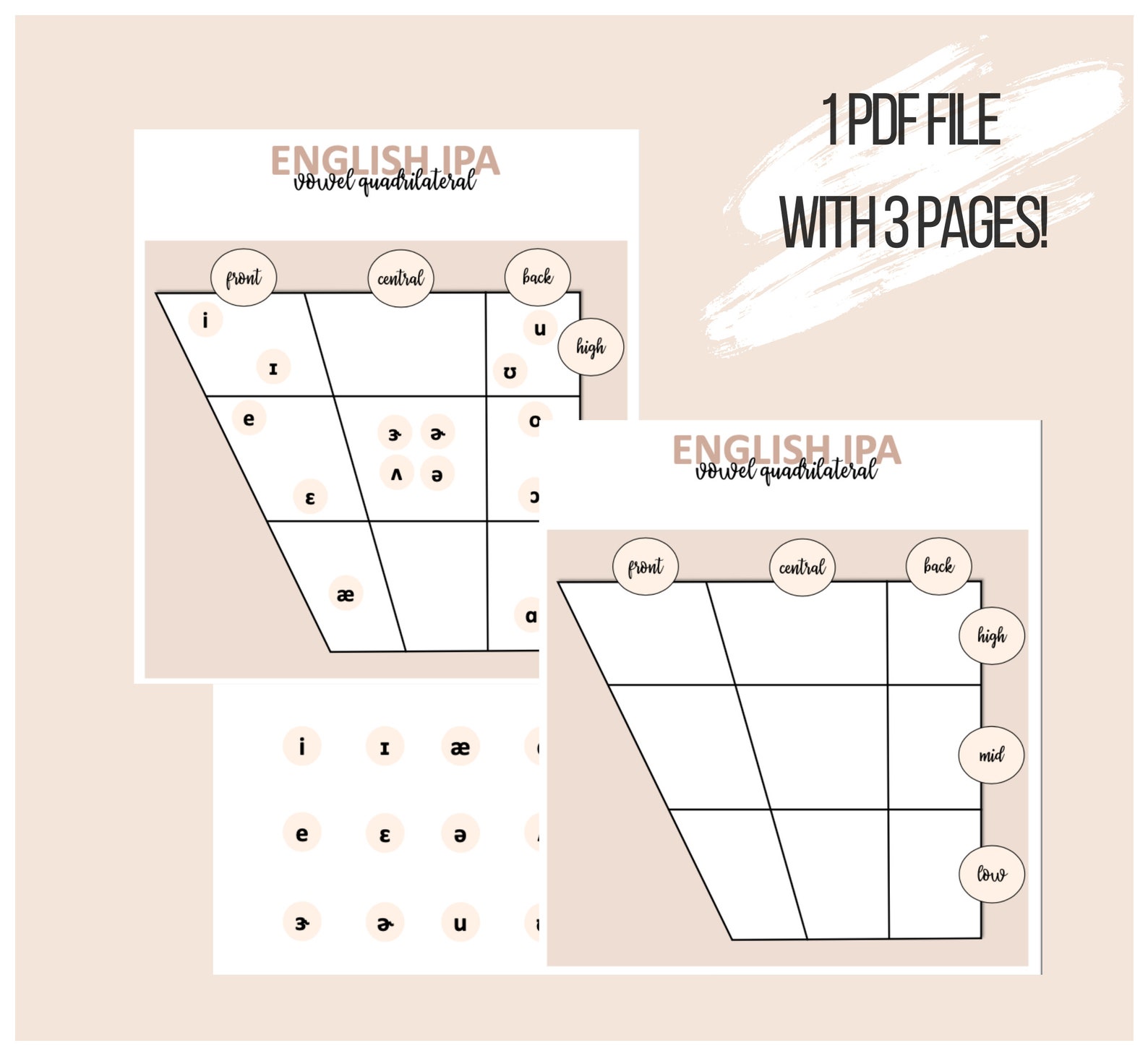 Speech Pathology English IPA Vowel Quadrilateral Study Sheet | SLP - Etsy