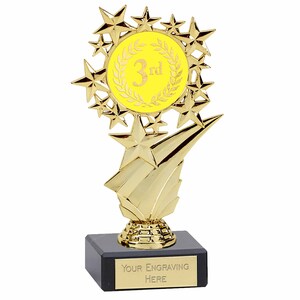 Gold Star 1st 2nd 3rd 4th 5th 6th Place Winner Well Done Trophy Award ...