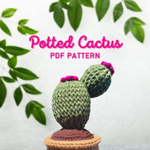 Crochet Potted Cactus Pattern: Intermediate Level (PDF Pattern)