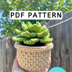 Crochet Succulent Pattern | Crochet Succulent | Succulent Pattern | Succulent