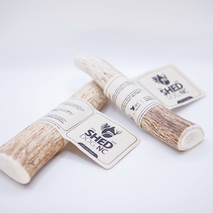 Chien entier Elk Antler Chew