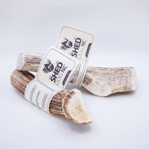 Tout l’axe Deer Antler Dog Chew