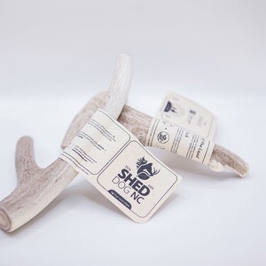Whitetail Deer Antler Dog Chew