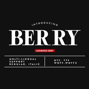 Berry Font: elegante carattere serif minimalista - uso commerciale