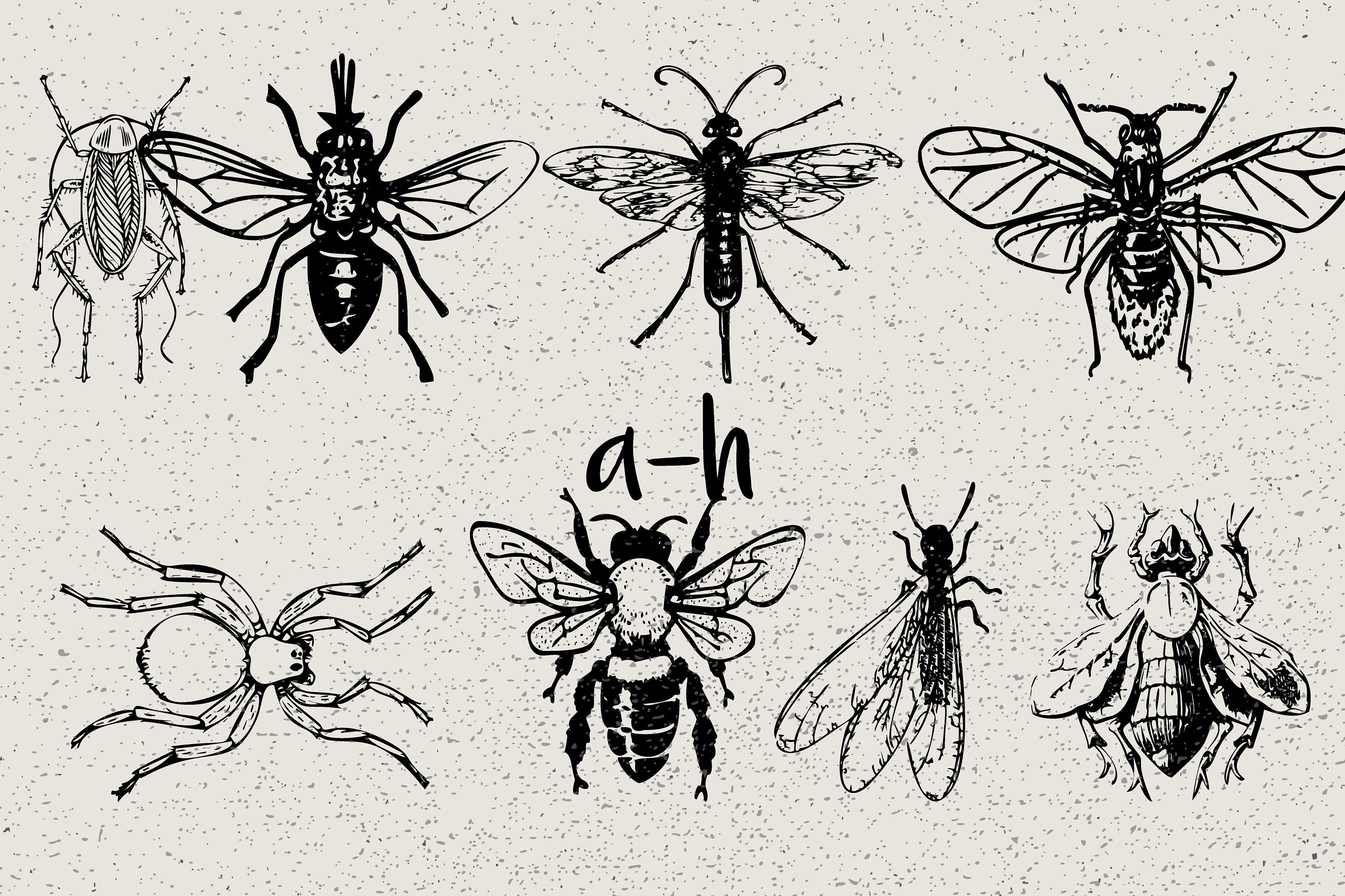 Flying Insect Dodles Insect Doodles Vector Clipart: Dingbats Font (digital Download) - Etsy