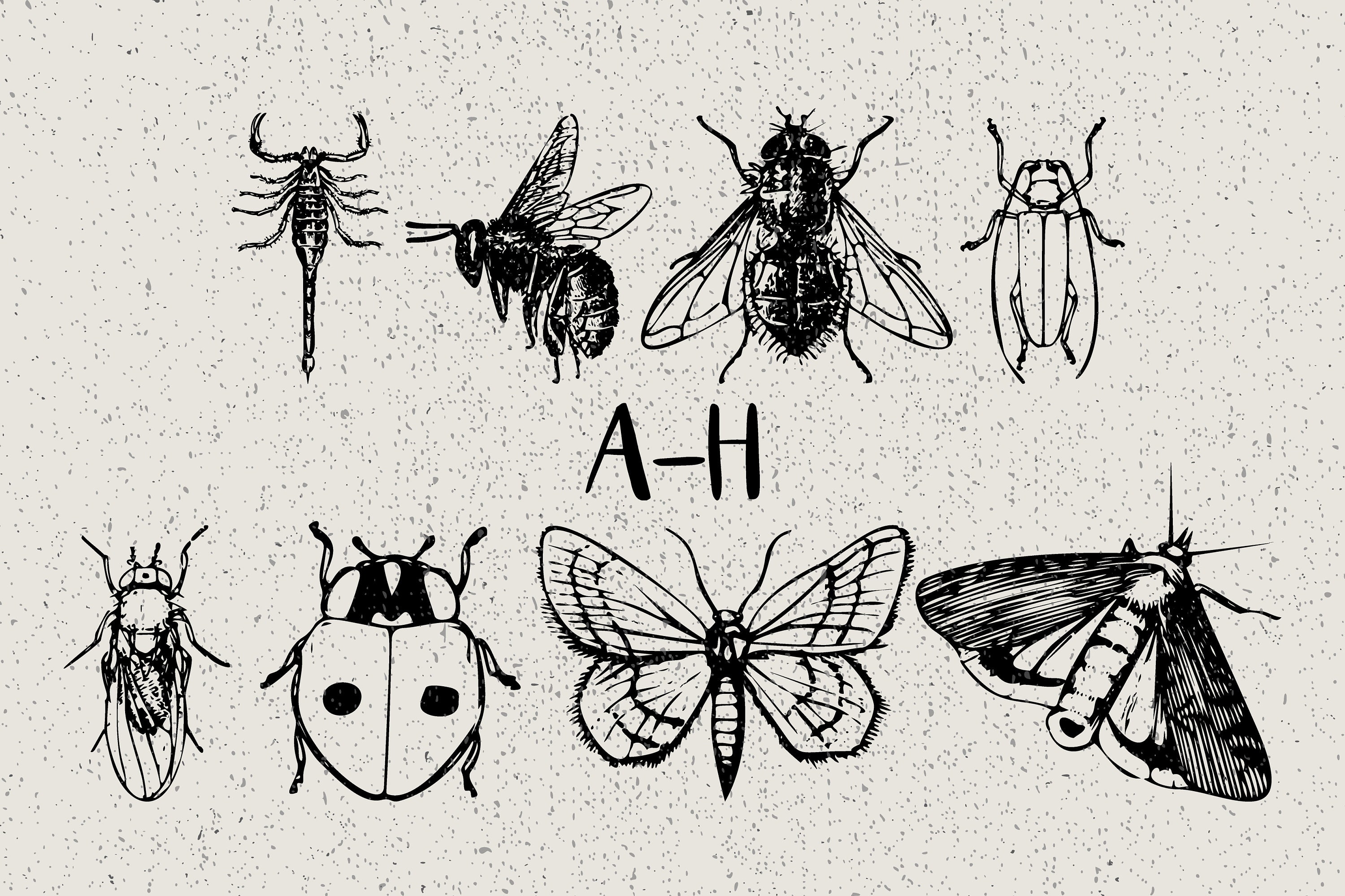 62 Unique Insects Doodles Vector Clipart Dingbats Font Unique Insects ...