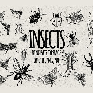 62 Unique Insects Doodles Vector Clipart Dingbats Font - Unique Insects Doodles -  Insects Doodles Vector - Insects Doodles Cliparts