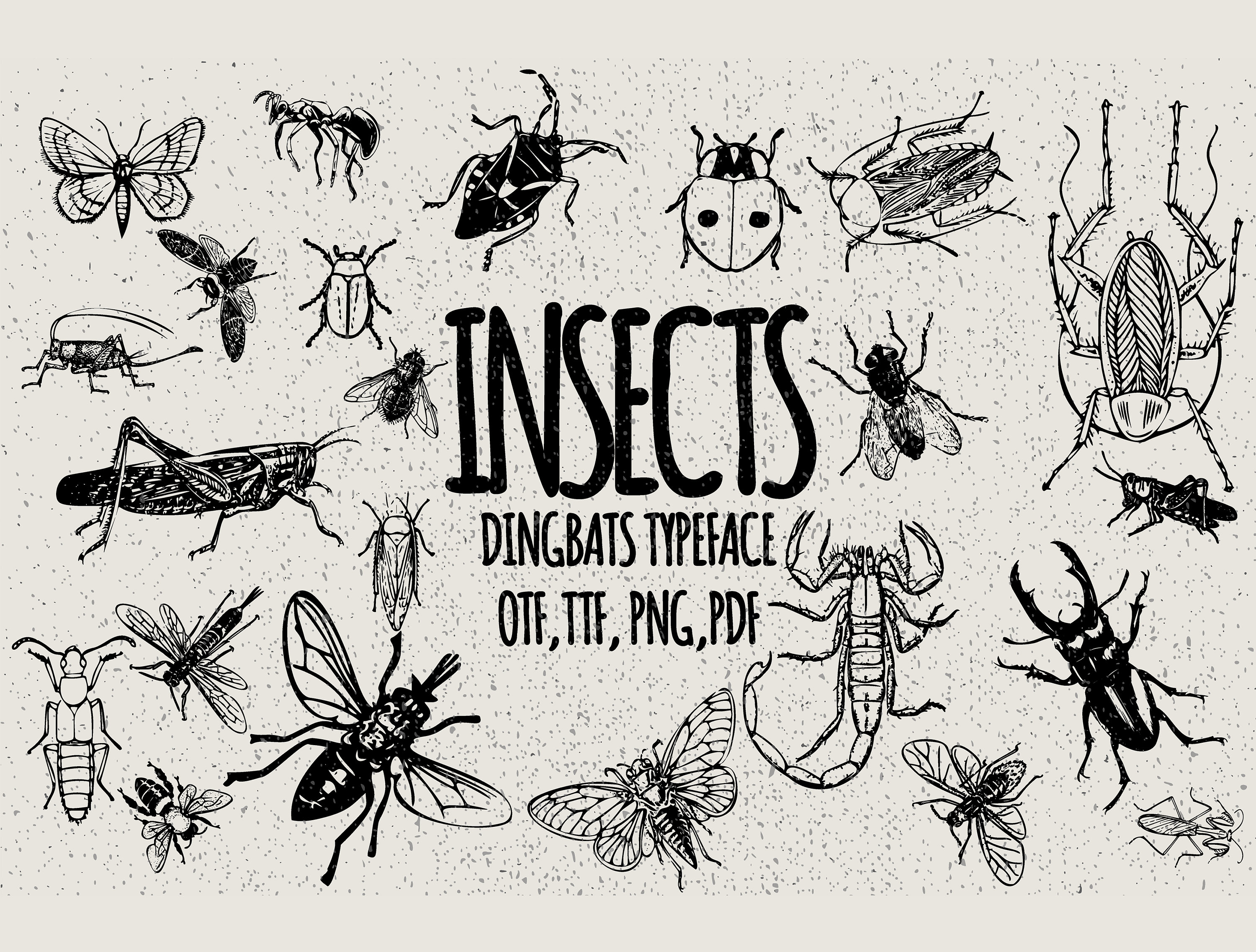 62 Unique Insects Doodles Vector Clipart Dingbats Font - Unique Insects ...