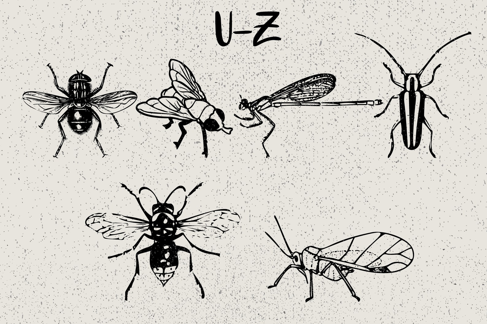 62 Unique Insects Doodles Vector Clipart Dingbats Font - Unique Insects ...