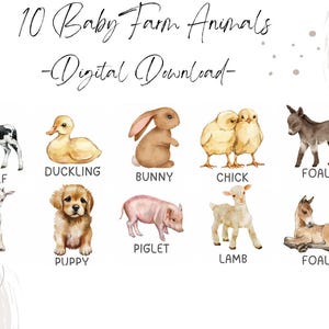 10 Baby Farm Animal Flashcards, Digital Download, Montessori Flash Cards, Educational Printable Cards
