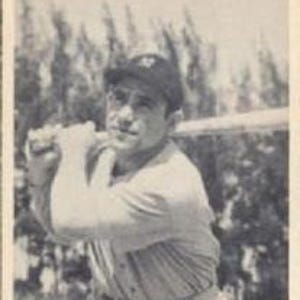 raro set completo 1948 Bowman Baseball Ristampa menta 48 carte