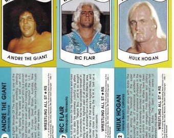 6 rare wrestling HOF rookie Hulk Hogan Ric Flair Andre The Giant 2 of each pictured