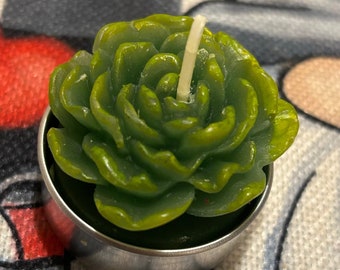 Succulent Tealight 6 Pack Unscented