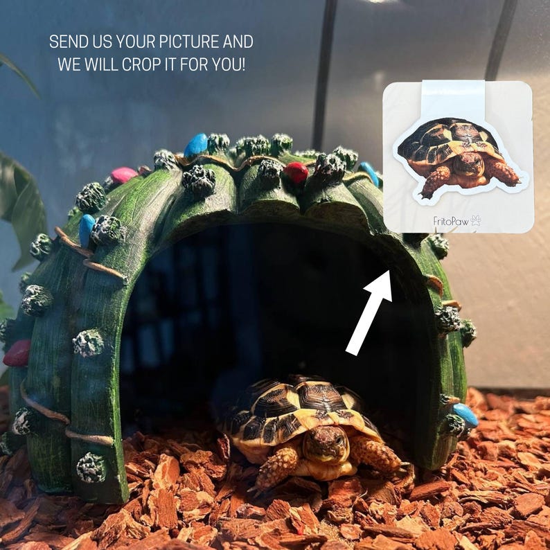 May include: A tortoise inside a green, decorative cave with colorful accents. The image includes a sticker with a tortoise illustration and the text "SEND US YOUR PICTURE AND WE WILL CROP IT FOR YOU!"