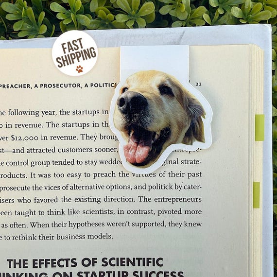 Dog Bookmark Magnetic Personalized Bookmark | Custom Bookmark | Custom Pet Photo Gift | Dog Mom Present | Pet Memorial Present |Dog Memorial