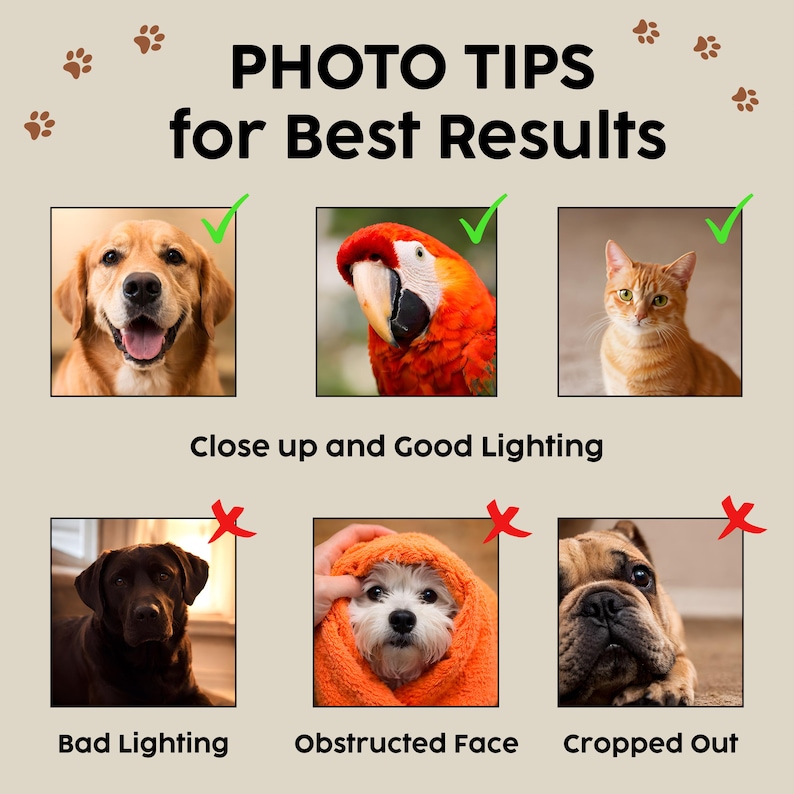 May include: A graphic with photo tips for best results. The image shows examples of good and bad photos of pets. The text says "Close up and Good Lighting". The good examples include a dog, a parrot, and a cat.