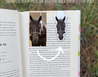 Horse Bookmark | Personalized Bookmark | Custom Bookmark | Custom Pet Photo Gift | Horse Mom Present | Personalized Horse Magnetic Bookmark