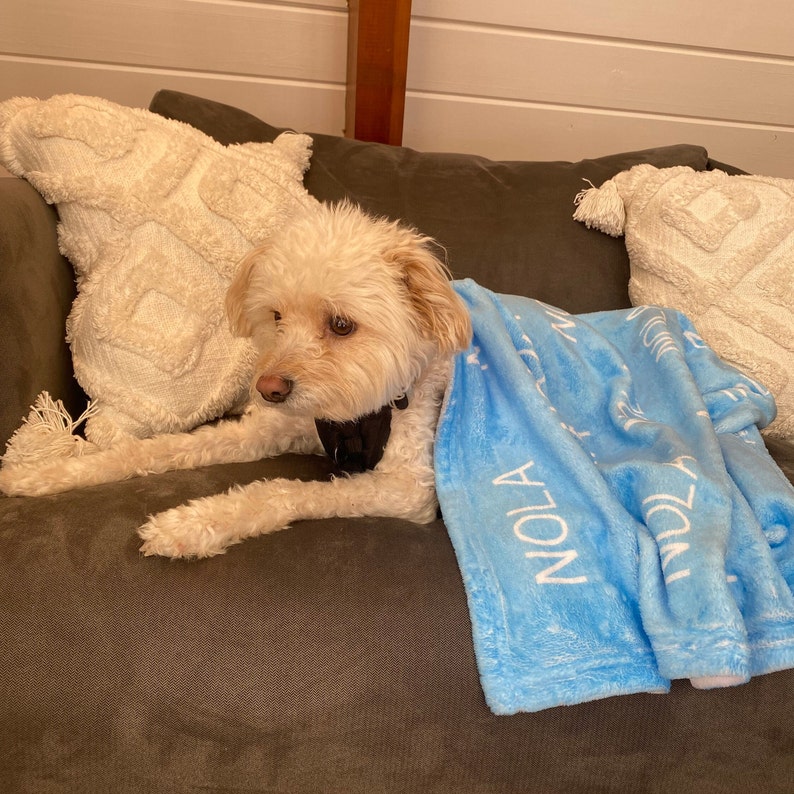 Personalized Dog Blanket Custom Name Fleece Blanket for Dog Moms Light Blue