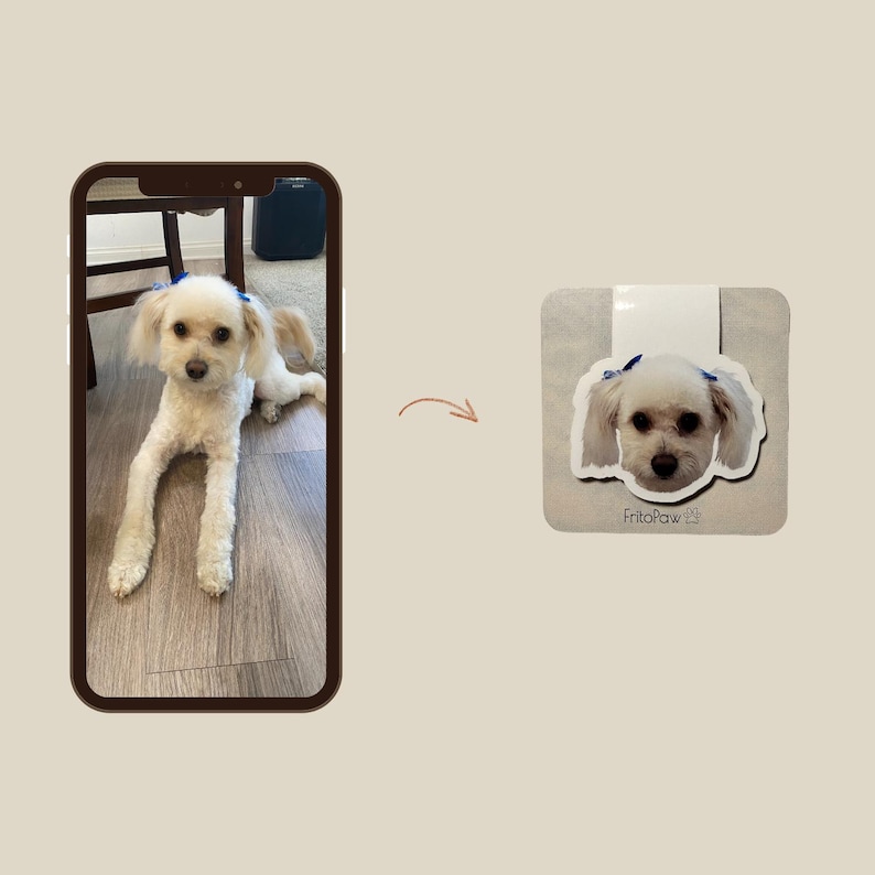 May include: A light-colored dog with blue bows in its hair is featured on a square, light-colored background. The dog's face is the focal point, with the brand name "FritoPaw" printed below. The image is presented as a product.