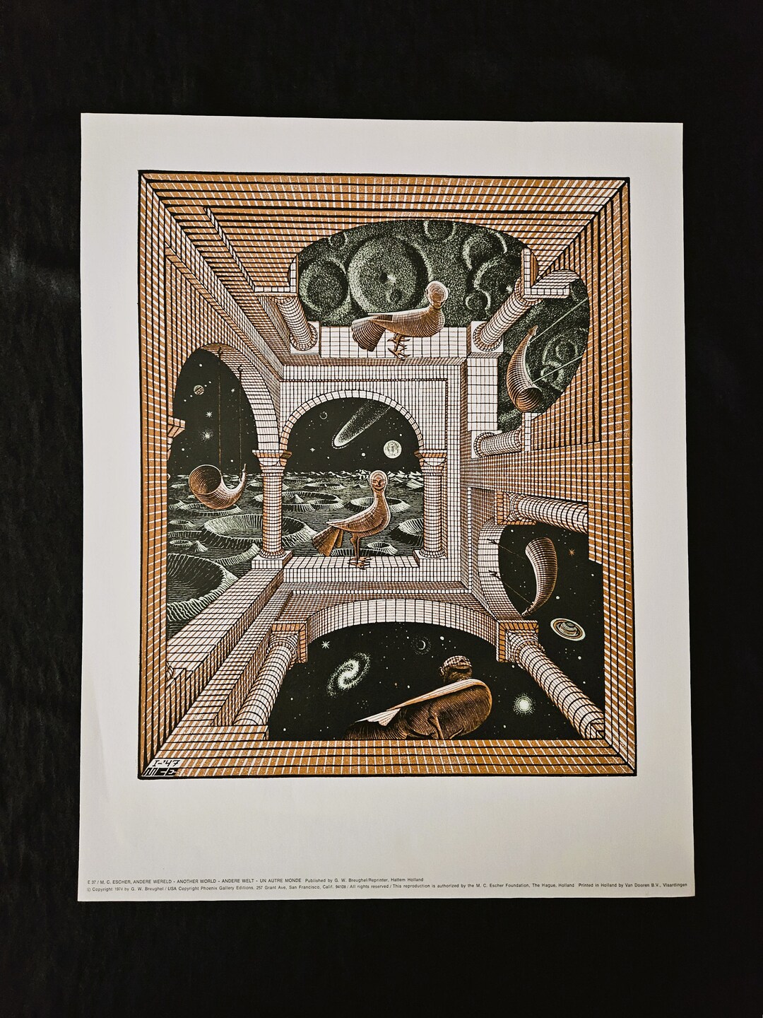 その他 Fantastic World of Mc Escher [DVD] MV5BMTkzMDY1MTI0NV5BMl5BanBnXk