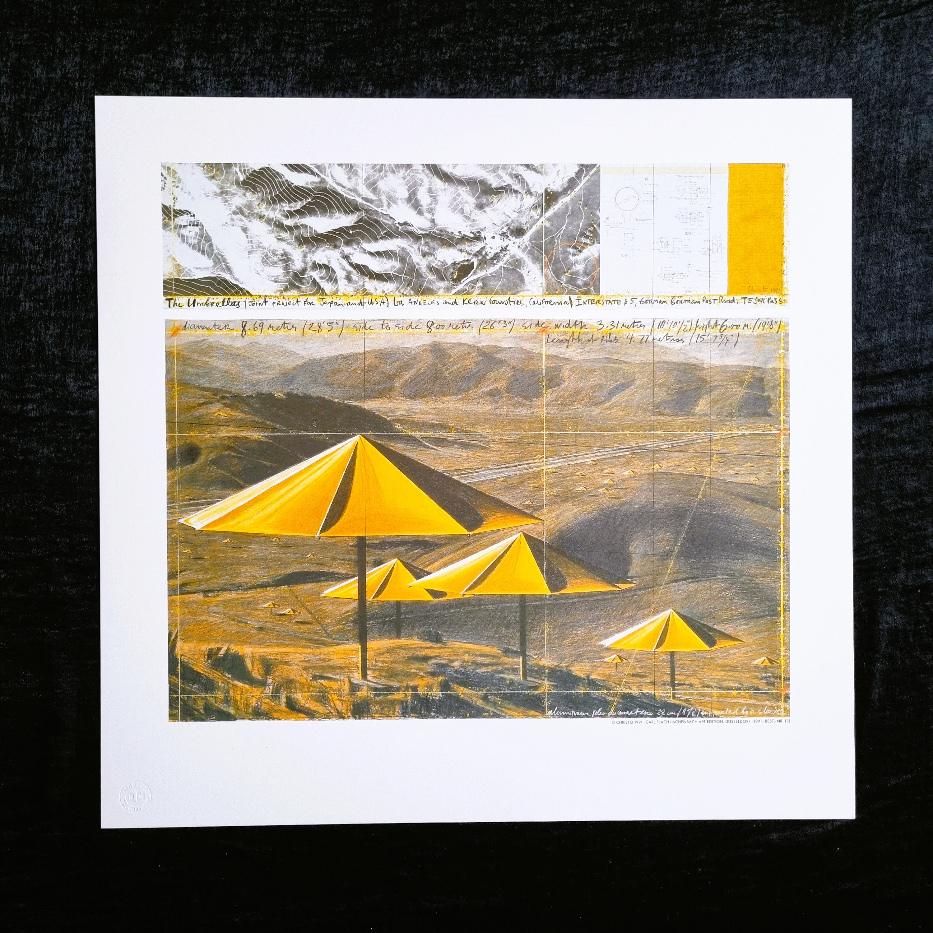 Christo The Umbrellas Ibaraki Japan Poster – Poster Museum