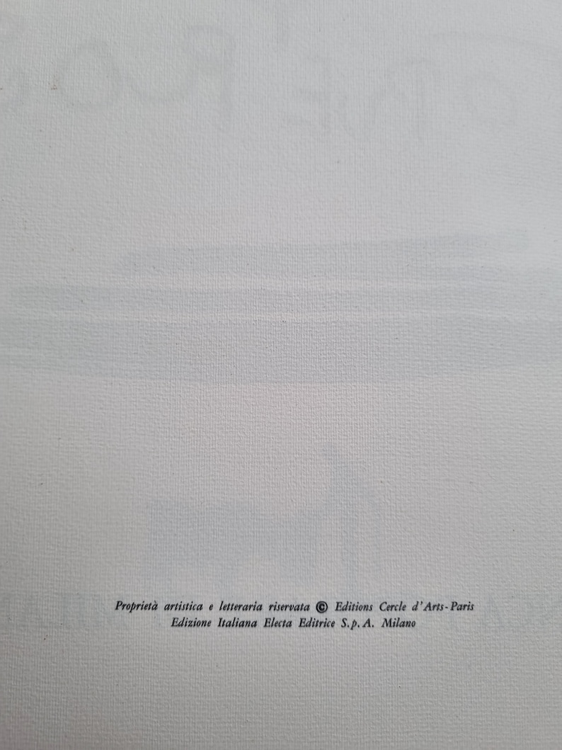 Pablo Picasso Toros y Toreros Libro d'arte da collezione. Prima edizione del 1961, dimensioni 28 x 38,5 cm. Ottime condizioni. imagem 10