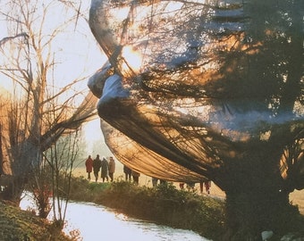 版画 Christo & Jeanne-Claude/Wrapped Trees-1 Christo & Jeanne Claude, Wrapped Trees - Foundation Beyeler