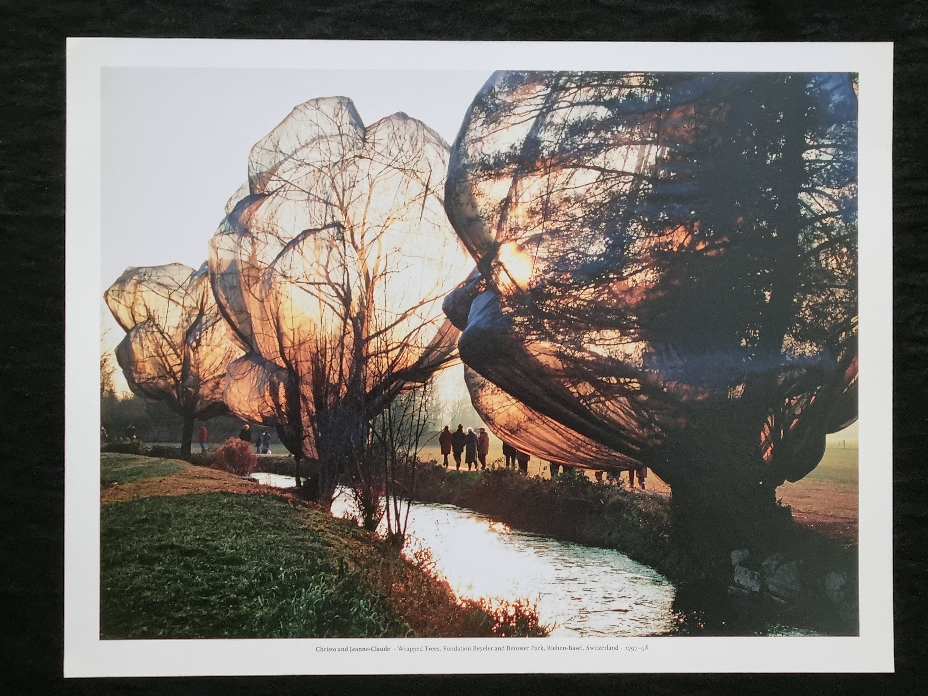 Christo and Jeanne-claude “wrapped Trees” Park Basel 1997 Elegant