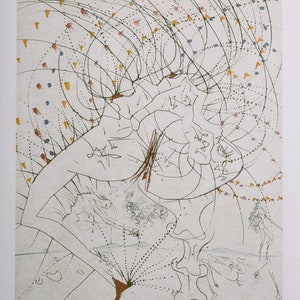 Salvador Dalì Dalla serie "Venus aux Fourrures" Dimensioni : 38 x 28cm. 14,96" x 11,02" Sul retro vi è l'indicazione dei Copyright