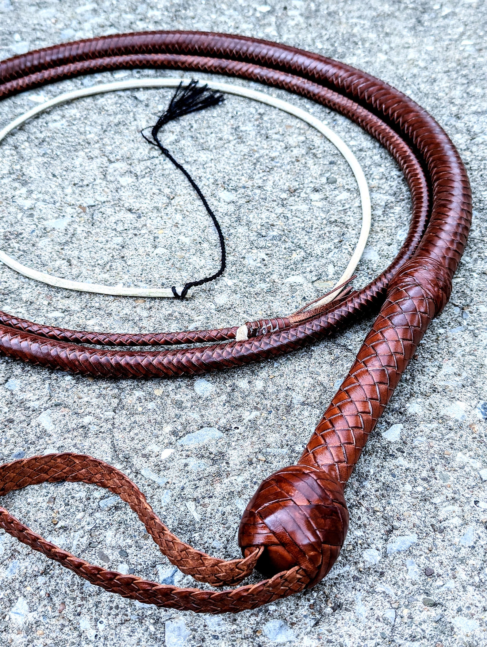 Custom Kangaroo Bullwhip Etsy