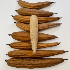 May include: A group of eight brown loofah sponges arranged vertically, with a single beige loofah sponge in the center.