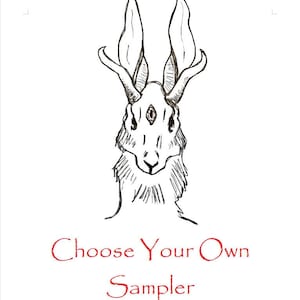Pick Your Own Vegan Cookies Variety Sampler Box