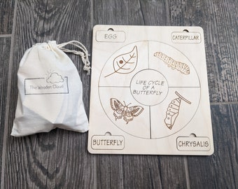 Wooden Life Cycle Board