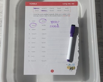 Inserts transparents Flisat (2 pièces) - Insertion Ikea Flisat pour poubelles Trofast - Insert effaçable à sec - Table sensorielle - Inserts Flisat