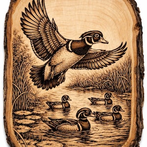 May include: Wood duck pyrography art on a wood slice. A detailed depiction of a wood duck in flight above a pond with other ducks. The artwork is framed by the natural edge of the wood, showcasing the tree's bark.