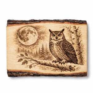 May include: A wood-burned art piece featuring a detailed owl perched on a branch. The artwork includes a full moon, trees, and a forest scene. The edges of the wood retain the natural bark.