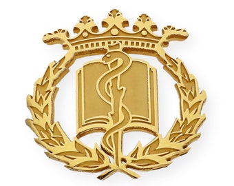 Pin Medicina Insignia Profesional Plata de Ley 925, Oro 18K, Insignia Dorada, Regalo de Graduación, Emblema Profesional, Hecho a Mano